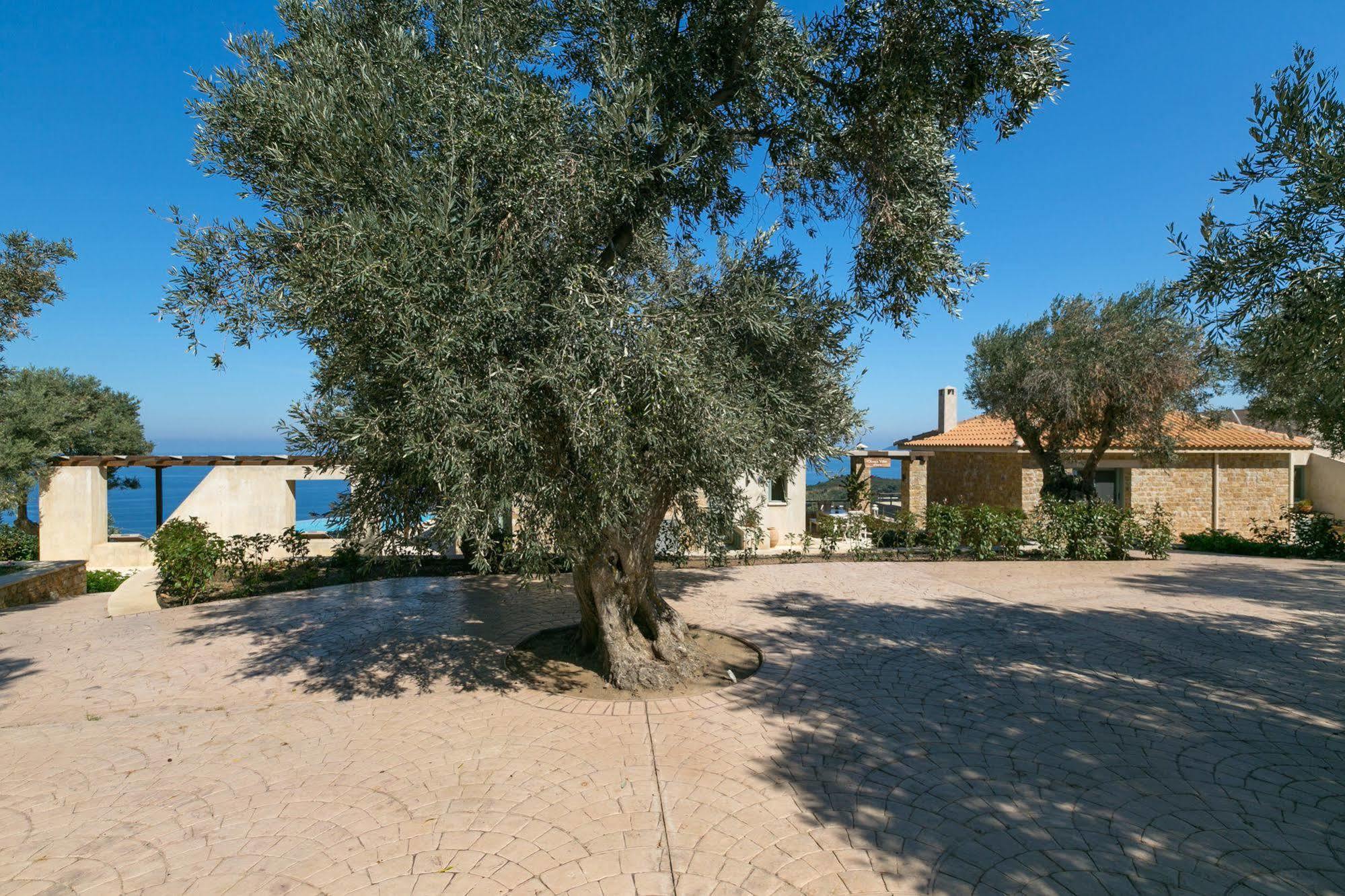 Olivia'S Villas Of Luxury Kalivia  Exteriér fotografie